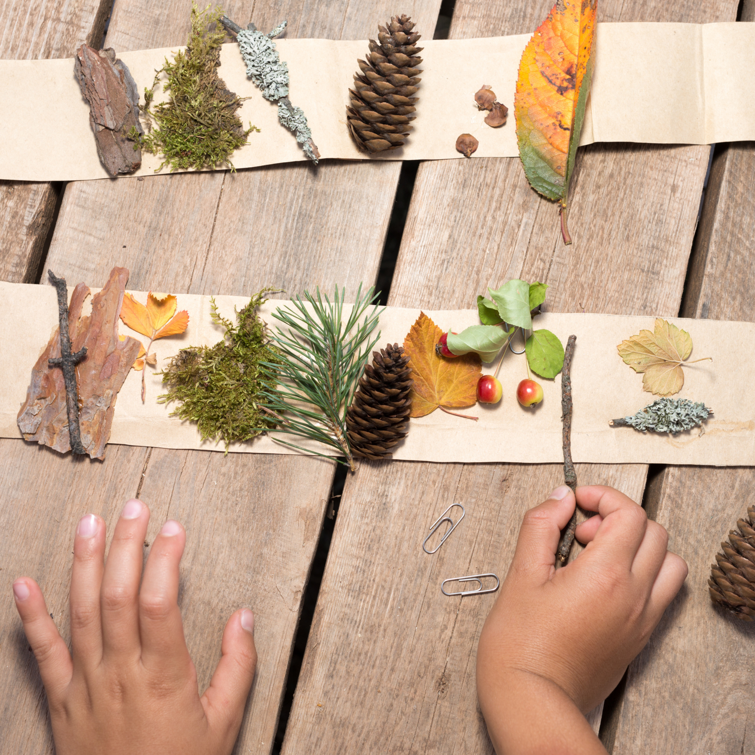 Autumn Craft Ideas to Do with Your Toddler