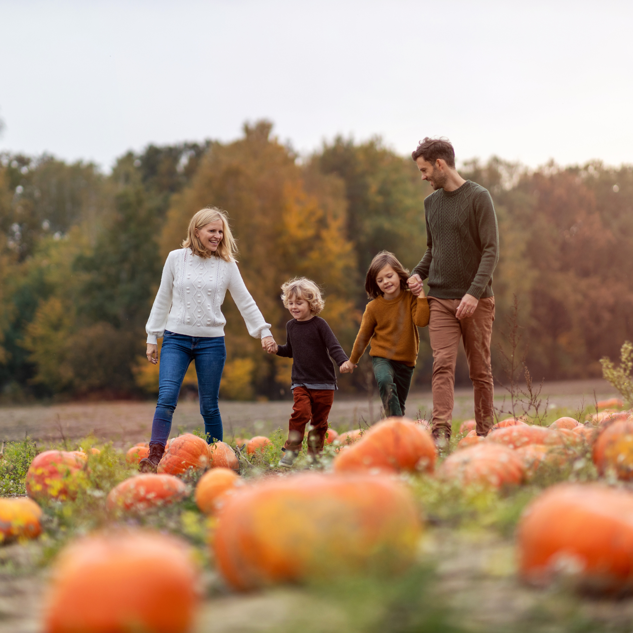 Wholesome Autumn Activities for Families