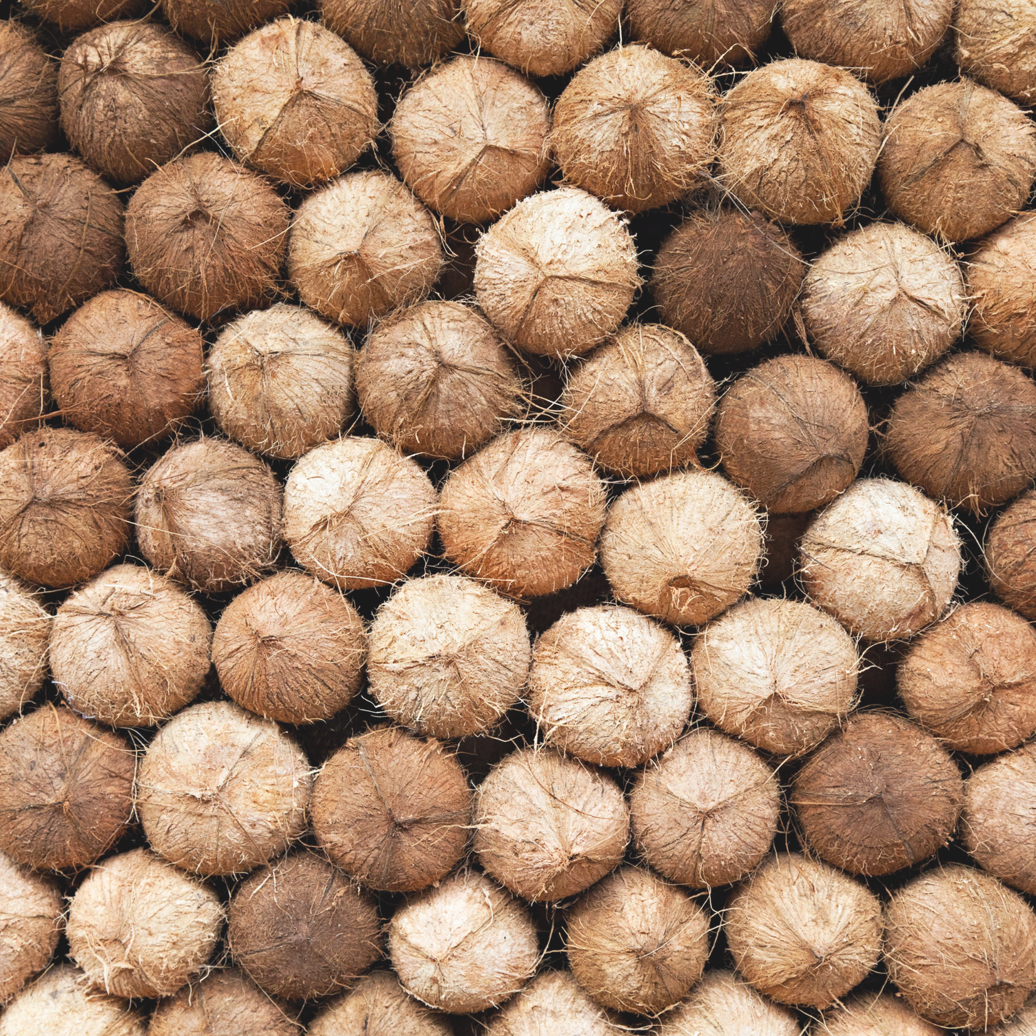 Praise The Superfruit: Coconut Coir Mattress Filling