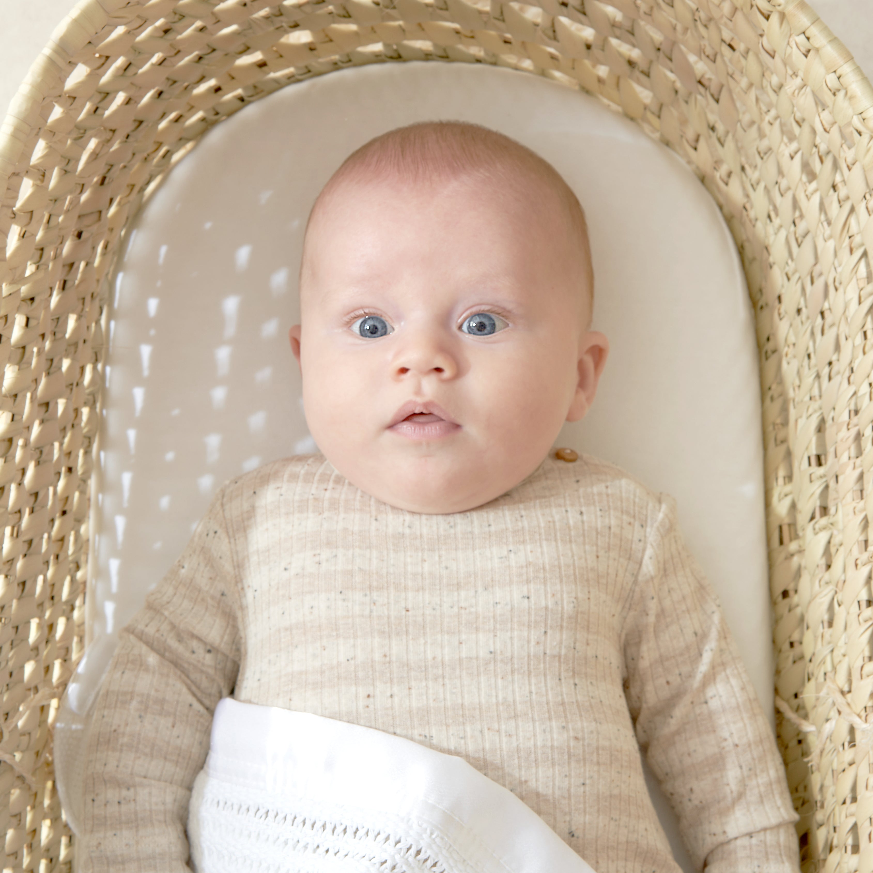 Tiny Dreamer Natural™ - Coconut Coir & 100% Wool Moses Basket Mattress - 74 x 28cm - The Tiny Bed Company™