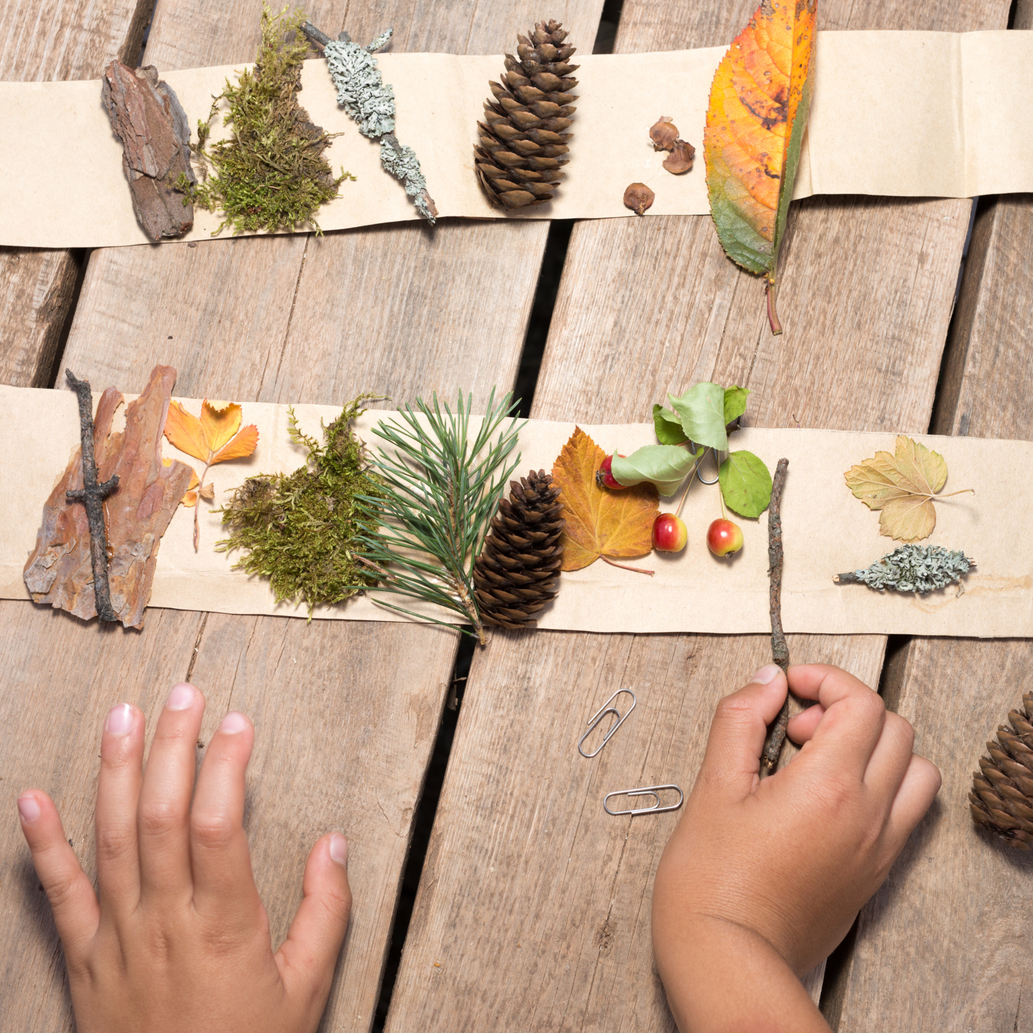 Autumn Craft Ideas to Do with Your Toddler