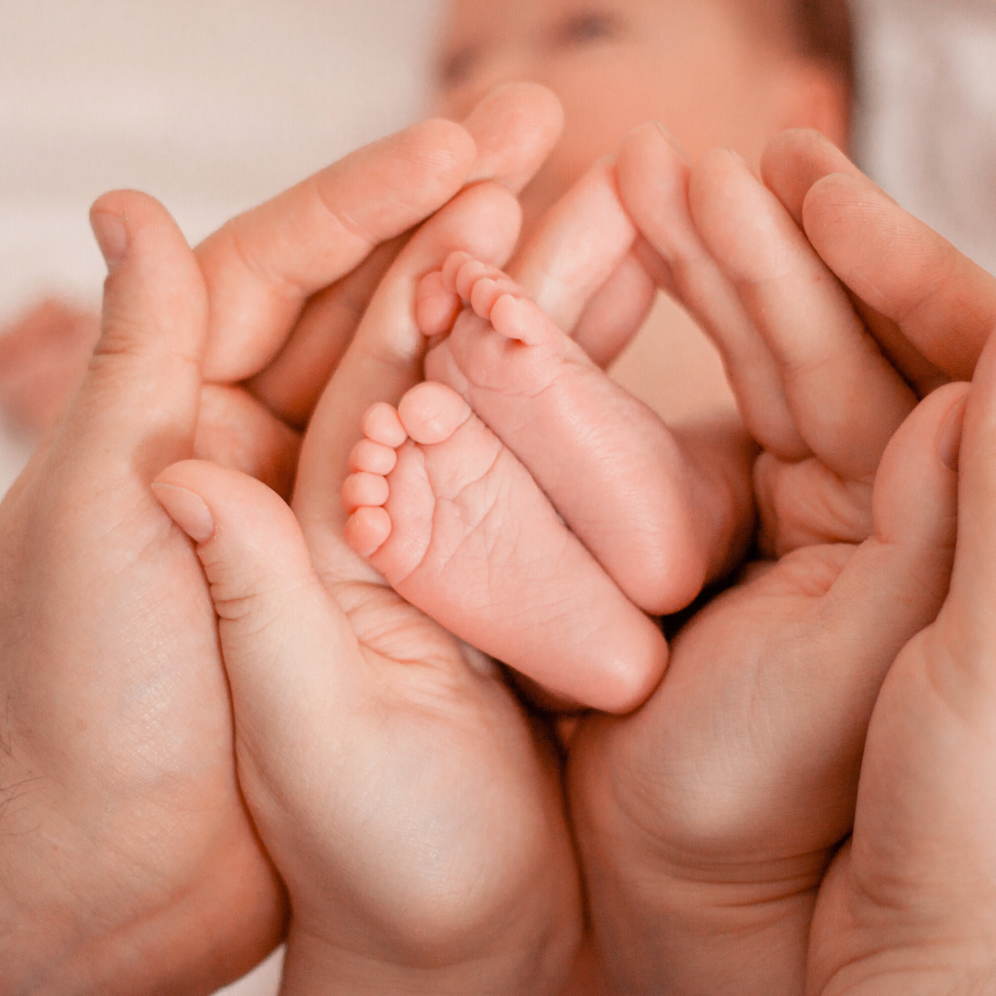 Navigating Parenthood