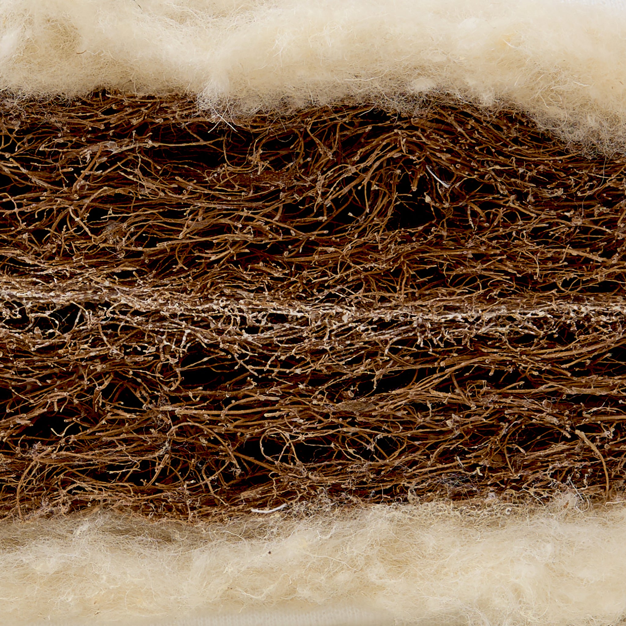 Tiny Dreamer Natural™ - Organic Coconut & 100% Wool Core Cot Mattress (160 x 80cm) - The Tiny Bed Company™